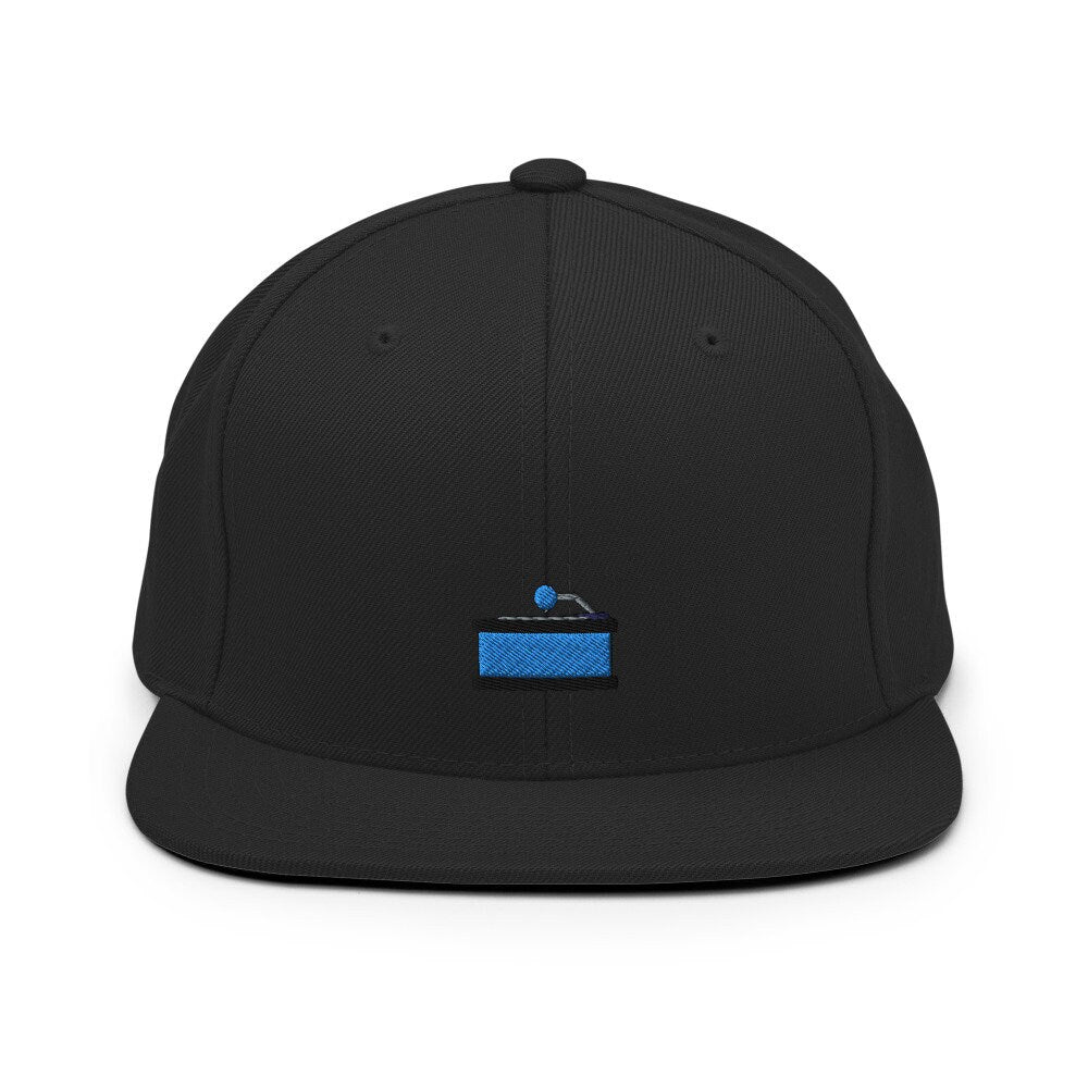 Vinyl Record Player Embroidered Snapback Hat, Cap Gift, Embroidered Snapback Hat, Flat Bill Snapback