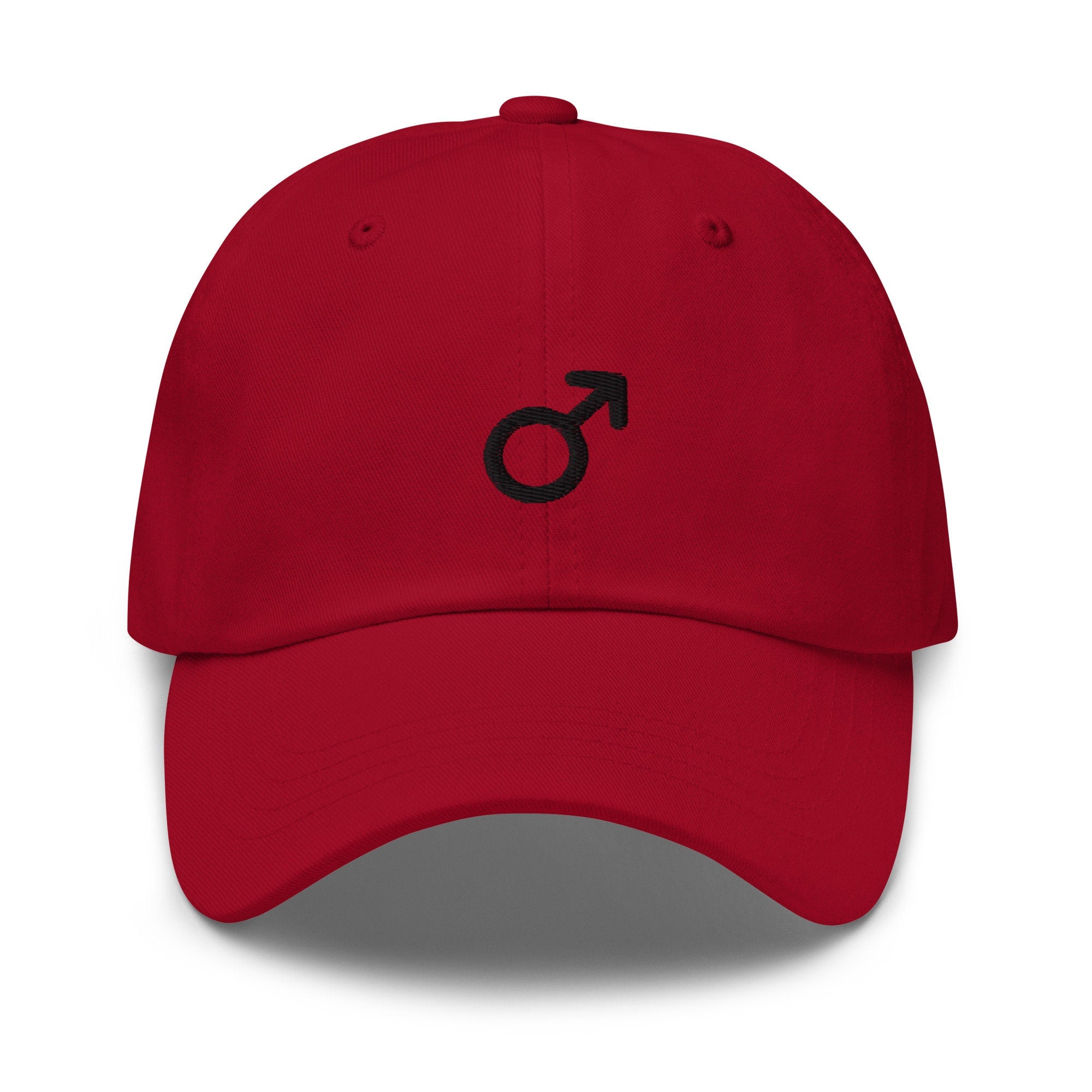 Male Gender Sign Embroidered Dad Hat