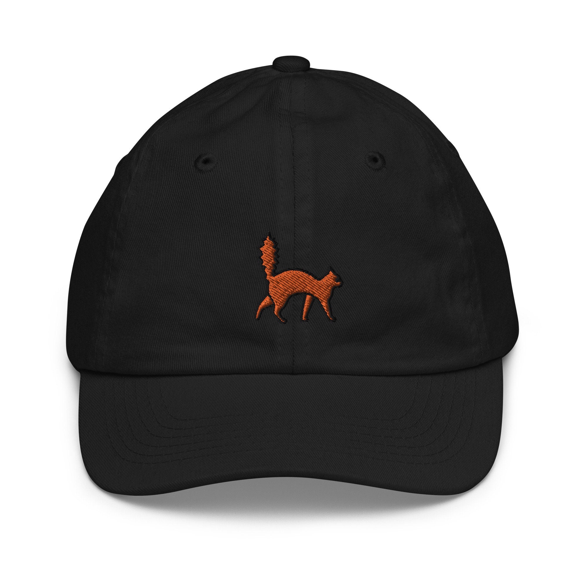 Scared Cat Youth Baseball Cap, Handmade Kids Hat, Embroidered Childrens Hat Gift - Multiple Colors