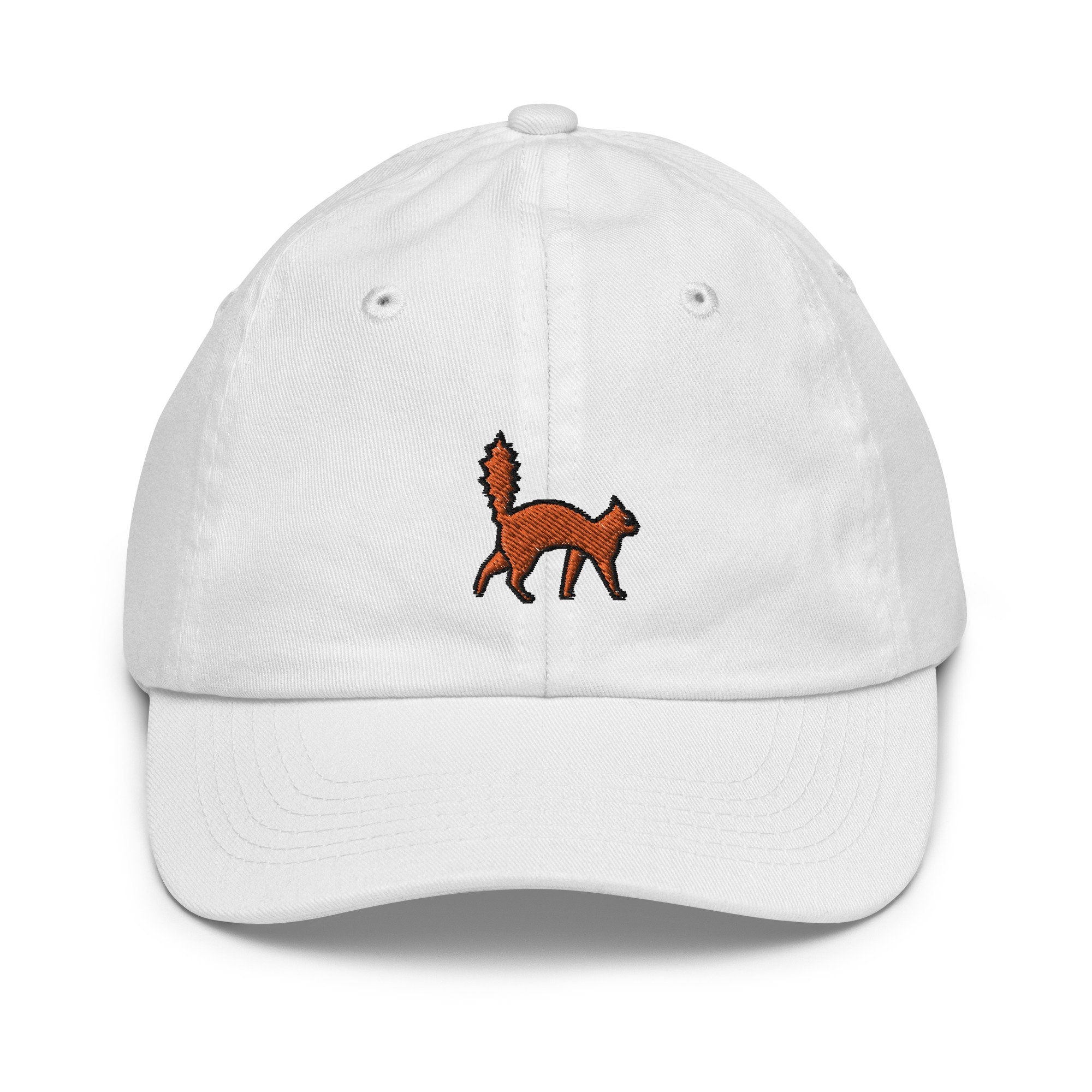 Scared Cat Youth Baseball Cap, Handmade Kids Hat, Embroidered Childrens Hat Gift - Multiple Colors