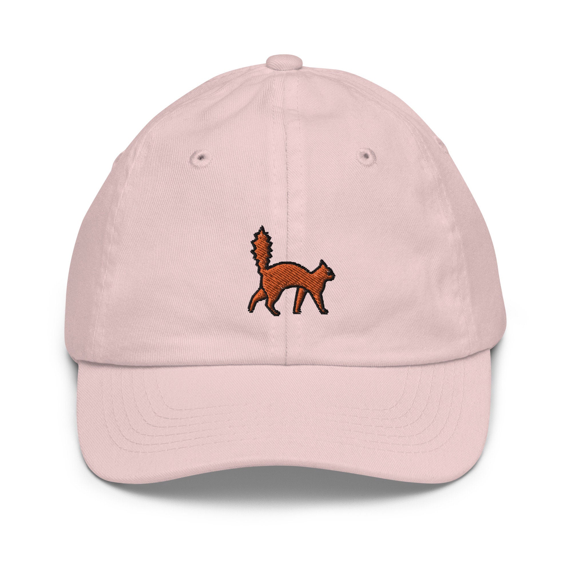 Scared Cat Youth Baseball Cap, Handmade Kids Hat, Embroidered Childrens Hat Gift - Multiple Colors