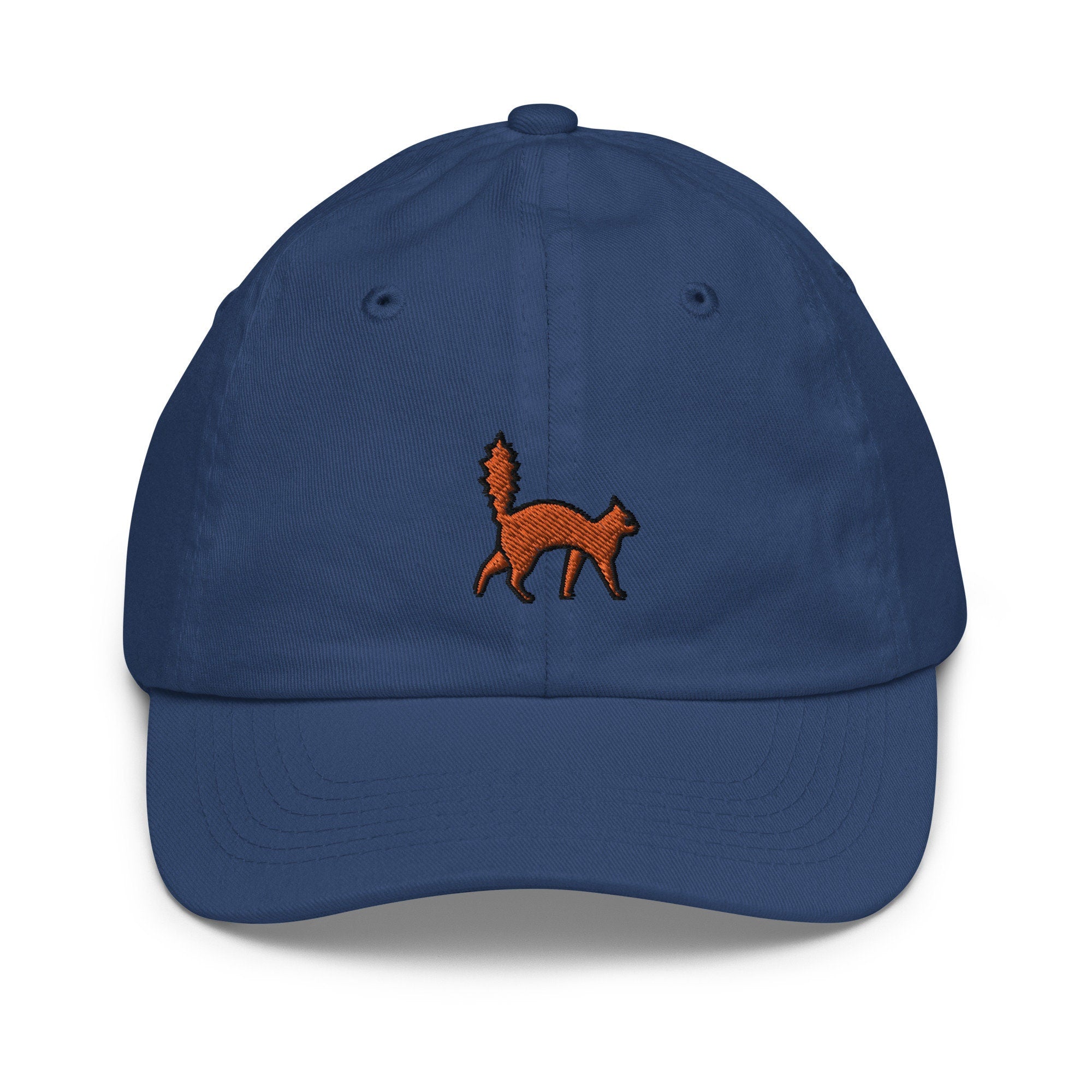 Scared Cat Youth Baseball Cap, Handmade Kids Hat, Embroidered Childrens Hat Gift - Multiple Colors