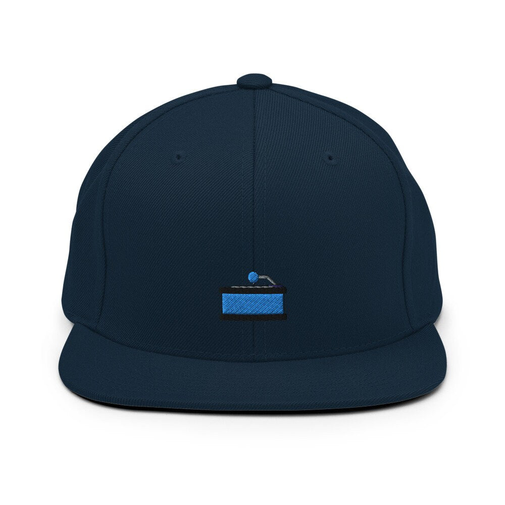 Vinyl Record Player Embroidered Snapback Hat, Cap Gift, Embroidered Snapback Hat, Flat Bill Snapback