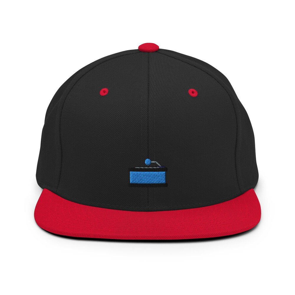 Vinyl Record Player Embroidered Snapback Hat, Cap Gift, Embroidered Snapback Hat, Flat Bill Snapback