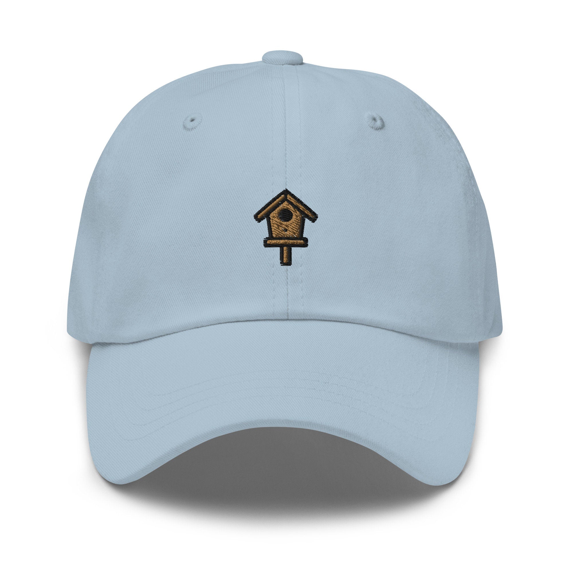 v Embroidered Dad Hat