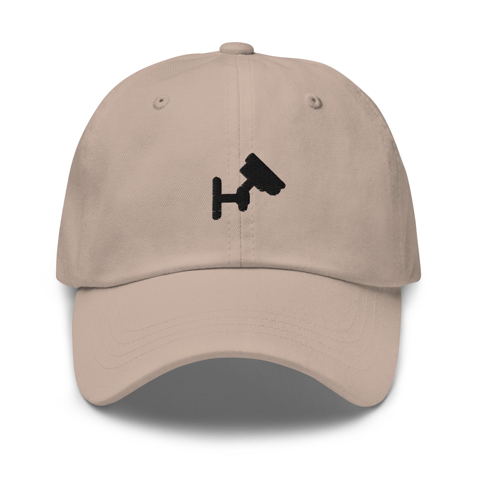 Security Camera Embroidered Dad Hat