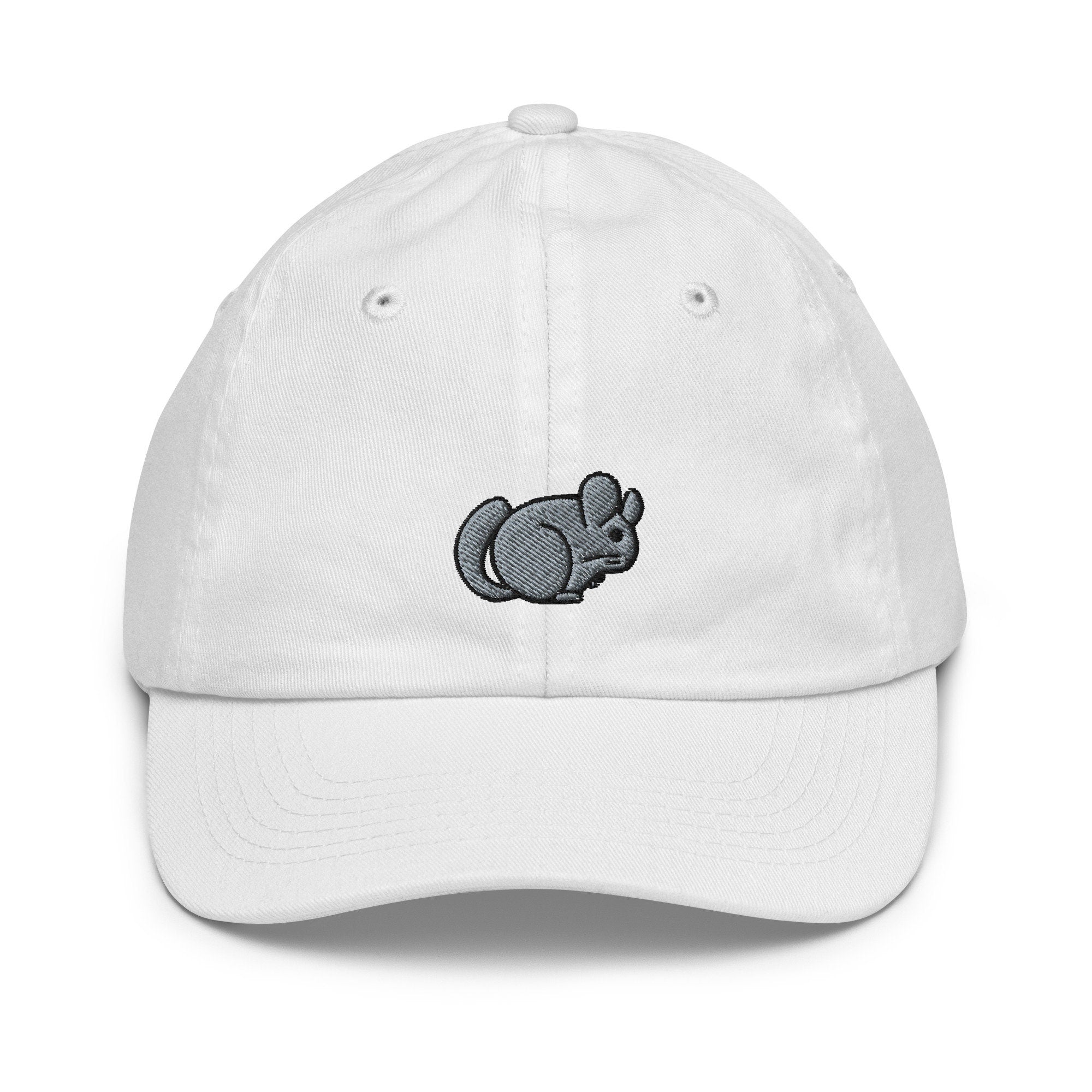 Chinchilla Youth Baseball Cap, Handmade Kids Hat, Embroidered Childrens Hat Gift - Multiple Colors