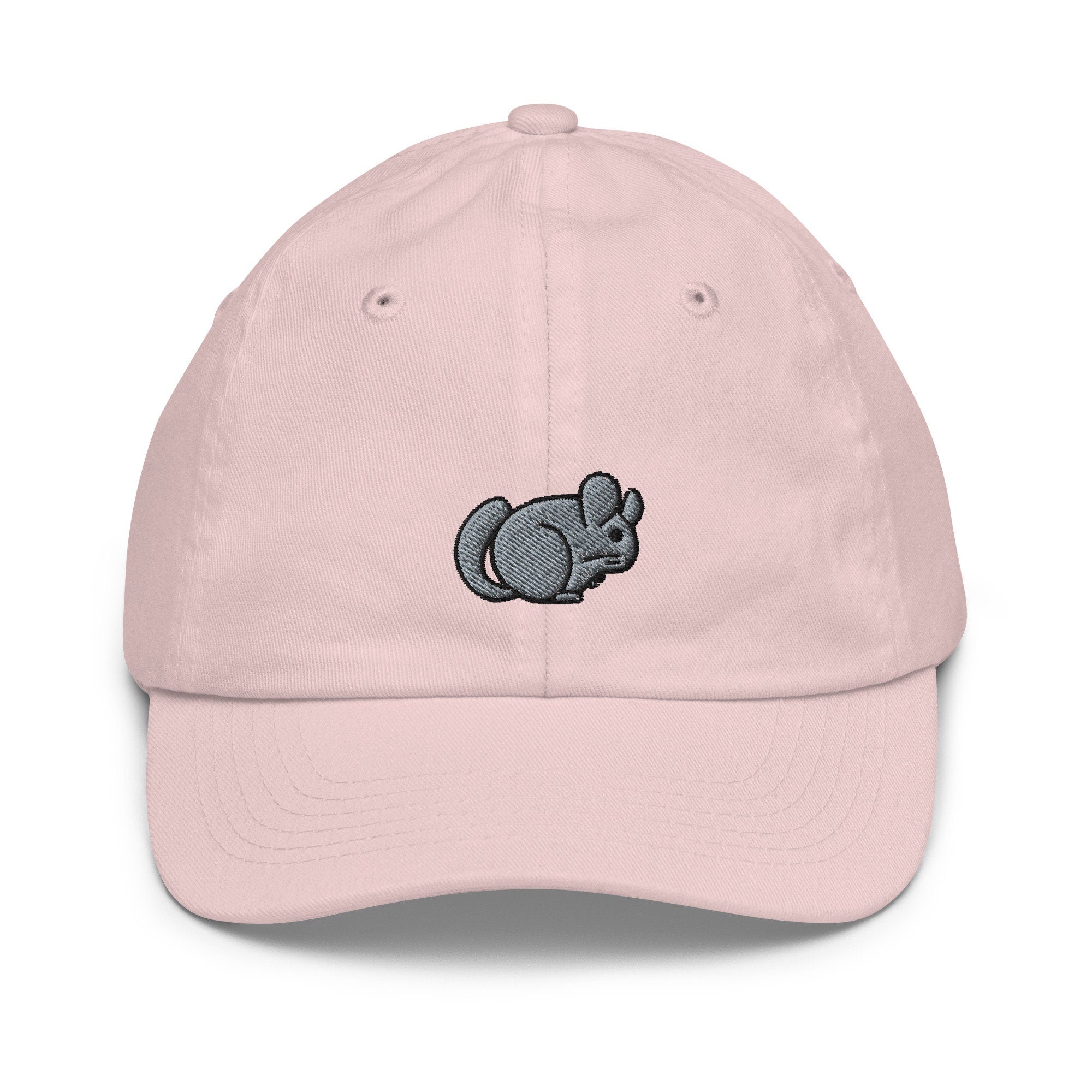 Chinchilla Youth Baseball Cap, Handmade Kids Hat, Embroidered Childrens Hat Gift - Multiple Colors