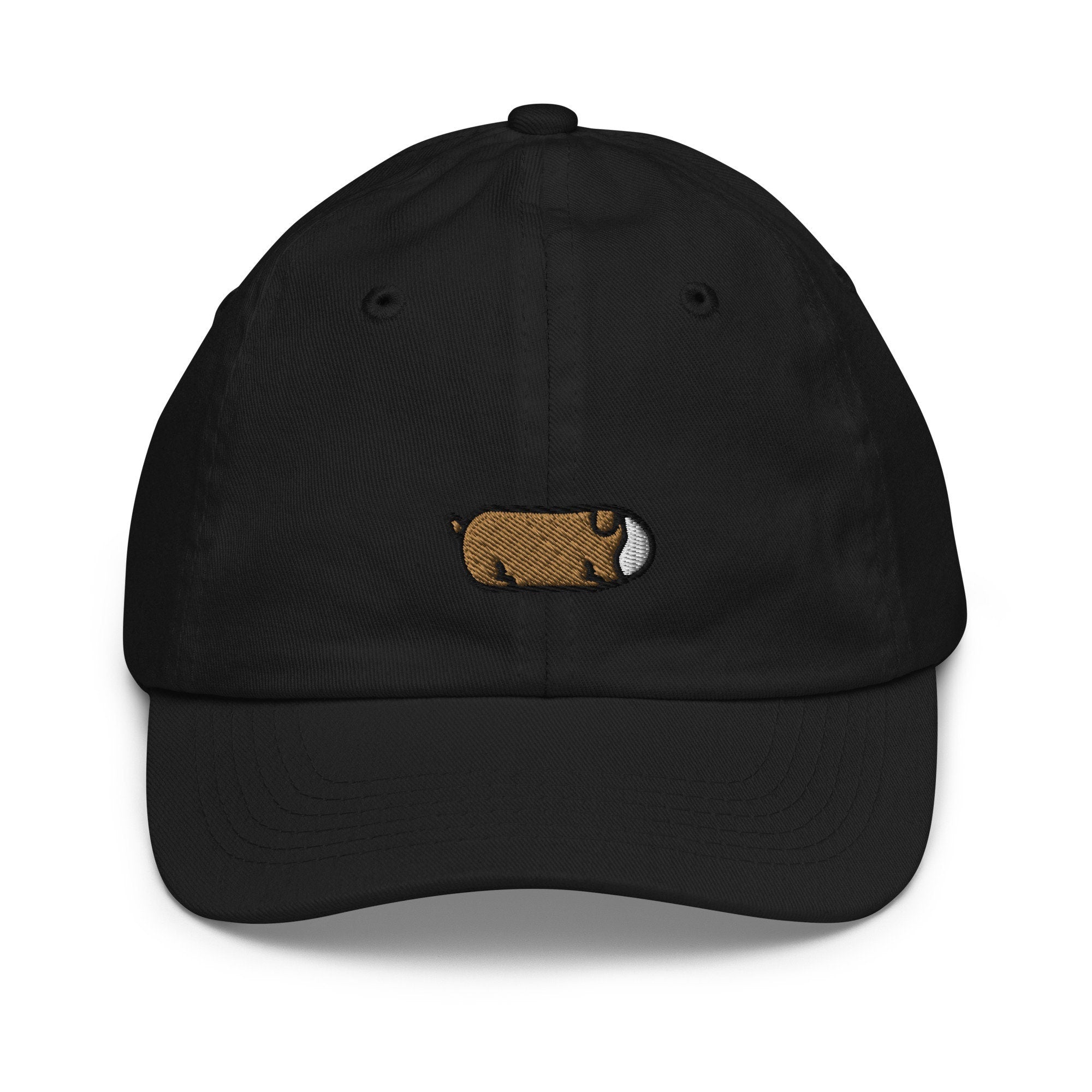 Guinea Pig Youth Baseball Cap, Handmade Kids Hat, Embroidered Childrens Hat Gift - Multiple Colors