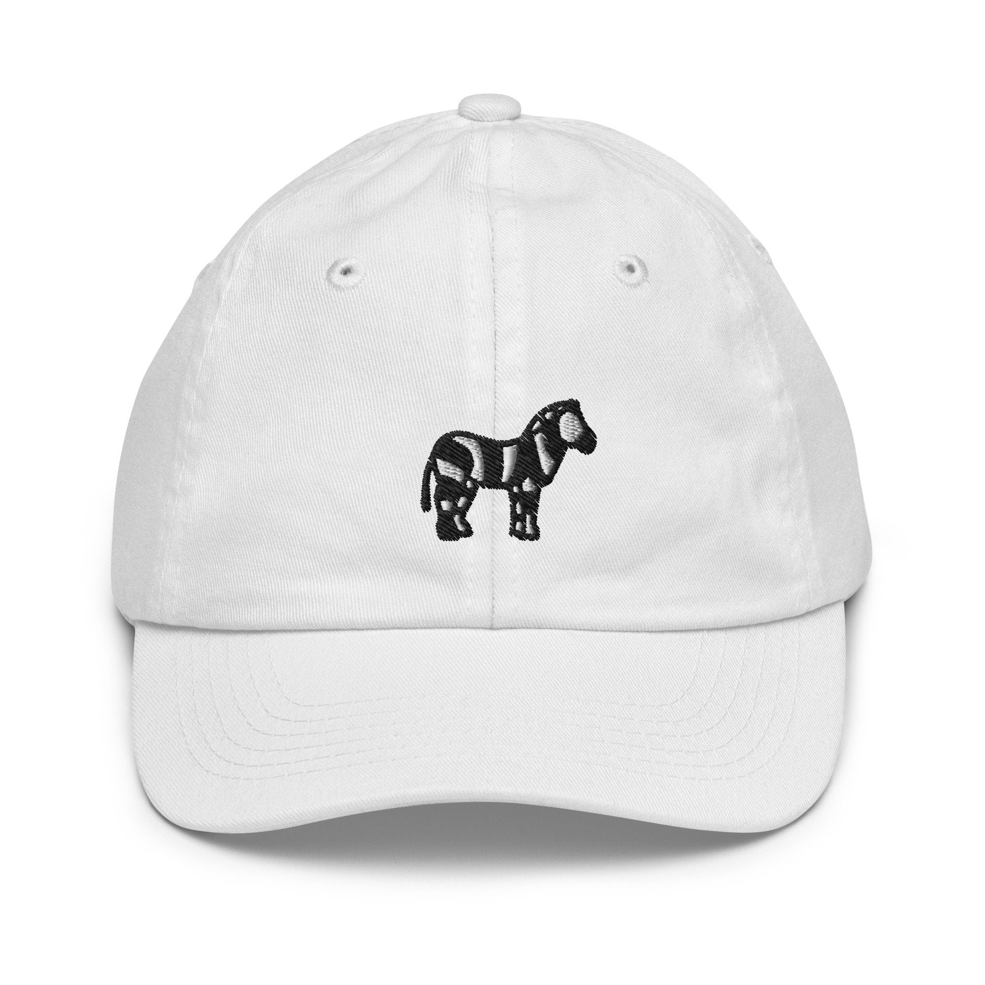 Zebra Youth Baseball Cap, Handmade Kids Hat, Embroidered Childrens Hat Gift - Multiple Colors