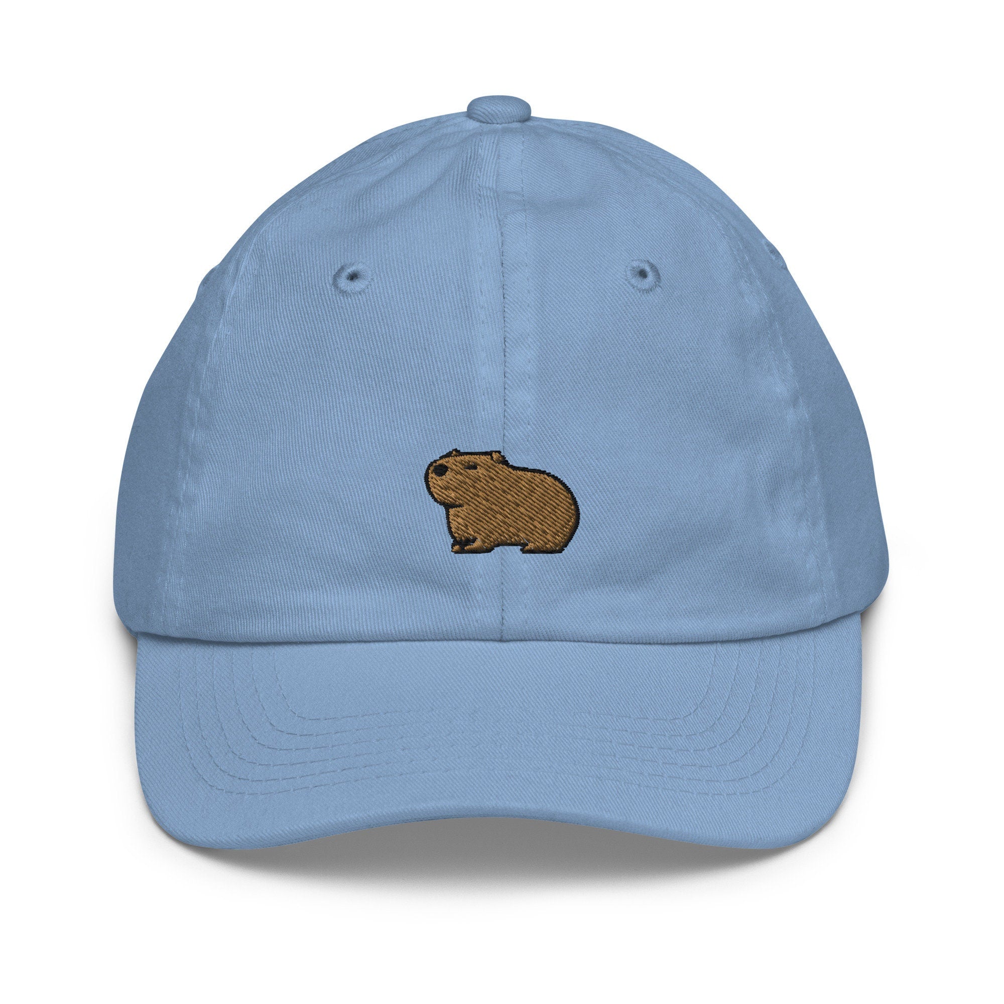 Capybara Youth Baseball Cap, Handmade Embroidered Capybara Hat, Capybara Lover Embroidery, Youth Baseball Cap Capybara